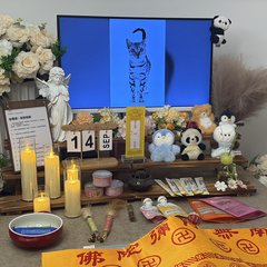 宠物家长客户见证